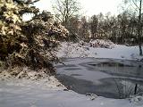 Frozen pond on the Common