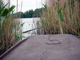 Boat trip on lake Tisza