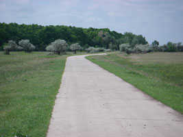 Quiet rural route across farmland