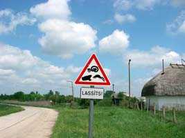 Road sign warning about Toads, Snakes and Newts