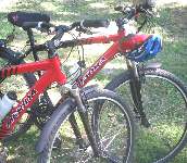 Excellent bikes