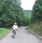 Cycling track by Danube