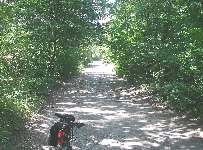Bike trail in the woods