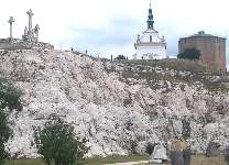 Limestone geologic museum