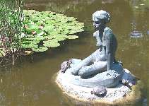 Pond on Margaret island