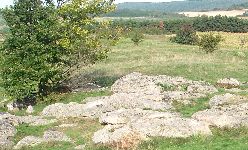 Field of stones