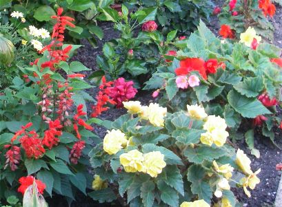 A flower bed in one of the villages
