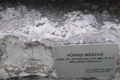 furedi-meszko