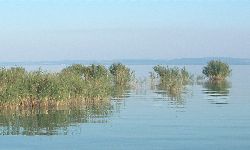 Lake Balaton