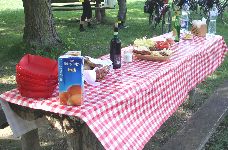 Picnic lunch for the cyclists