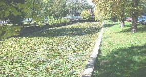 Warm water river from Heviz to Balaton