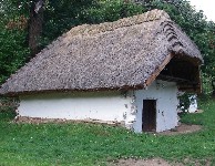 Thatched roof will storage