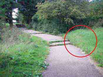 View of the steps leading down at Belton Hills
