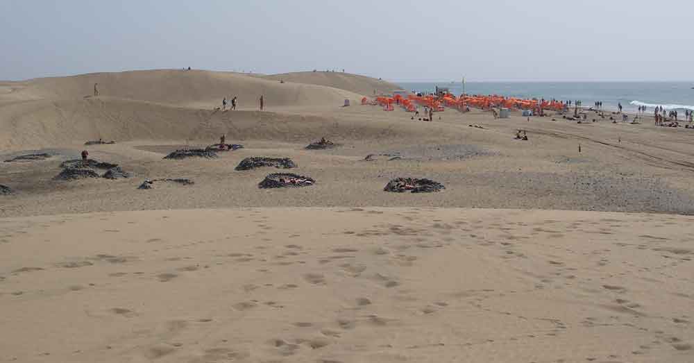 View from top of sand dune