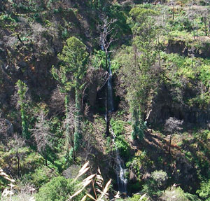 Waterfall in tropical valley