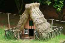 Duck house