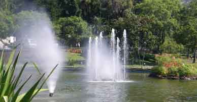 Fountains in lake at park in Funchal