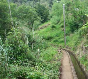 Walking path alongside levada