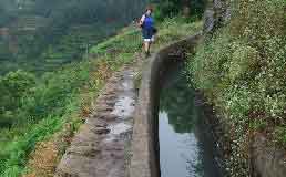Walking the levadas, Madeira