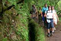 Levada walking in Madeira