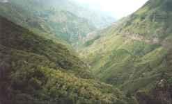 A typical footpath follows the levadas along the almost level contours through the trees and vegetation