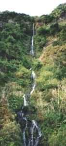 Waterfall on Madeira north coast road