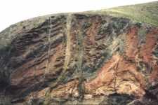 Exposed geological rock strata near the coast