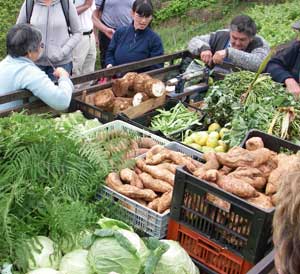 Locally grown produce for sale