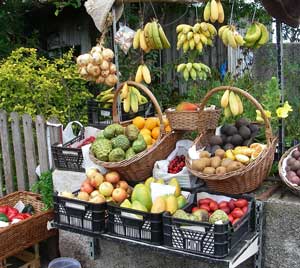 Tropical fruit for sale