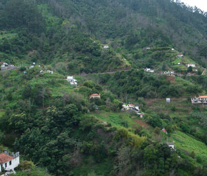 View across valley