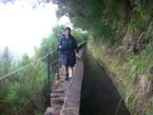 Narrow walking path alongside the levada