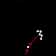 View of Pole star from Caribbean, North Africa, India