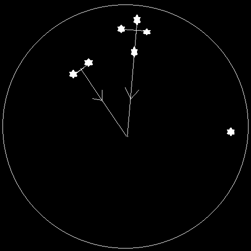 View of the Southern Cross high up in the sky