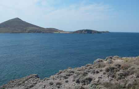 View from headland across the bay.