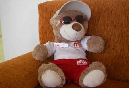 Pi, Graham's Mark Warner mascot teddy bear.