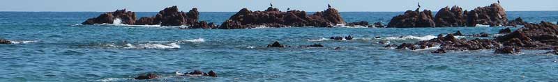 Sea view with rocks and cormorants