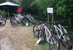 Mountain bikes