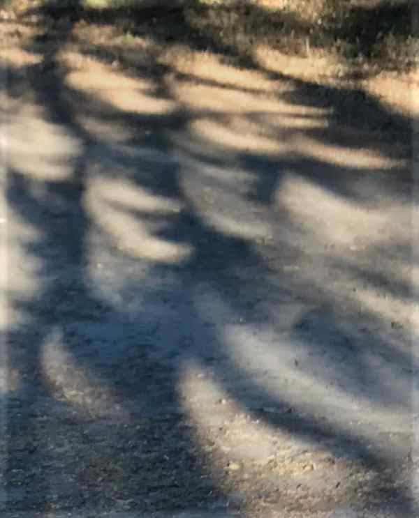 Solar eclipse 2026
