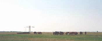 Big sky country near Hortobagy