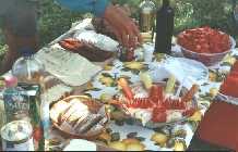 Typical Hungarian cycle tour pic-nic lunch