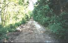 Jungle cycle trail where we were eaten by Mosquitoes