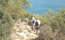 Coastal walk