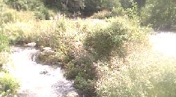 Picnic beside river Gazielle, France