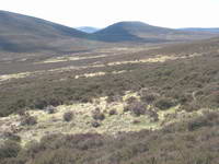Walking on rough heather hillside in Cairngorm mountains, Scotland.