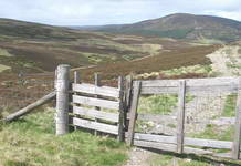 Typical walking route along tracks across the fells.