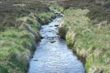 A stream or burn, one reason you need waterproof boots for walking in these areas.