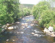The river Dee where we saw several people fishing for Salmon and trout fish.